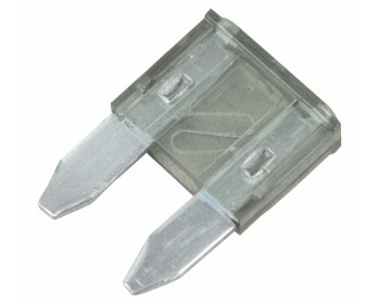 2 Amp Mini Blade Fuses (100 Per Pack)